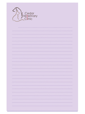 BIC Ecolutions 4x6 Adhesive Notepads 50 Sheet Pad P4A6A50ECO
